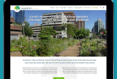 עיצוב בנייה ופיתוח אתר